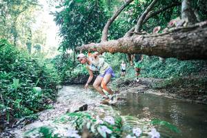 BIB: 
                            <button type="button" onclick="openModal(25432217)" class="btn btn-primary btn-sm float-right btn-popup" data-toggle="modal" data-target=".modal-high-quality">
                        <i class="fas fa-shopping-cart"></i> Add to Cart
                    </button>
                                            <button type="button" onclick="isThisMe(25432217, true)" class="btn btn-success btn-sm float-right btn-popup btn-isme hidden" data-toggle="tooltip" data-placement="bottom" title="นี่คือรูปของคุณใช่ไหม คลิกที่นี่เพื่อเอาเข้าอัลบั้ม">
                        <i class="fas fa-plus"></i> Add to album
                    </button>
                    <button type="button" onclick="isThisMe(25432217, false)" class="btn btn-warning btn-sm float-right btn-popup btn-isnotme hidden">
                        <i class="fas fa-ban"></i> Remove from album
                    </button>